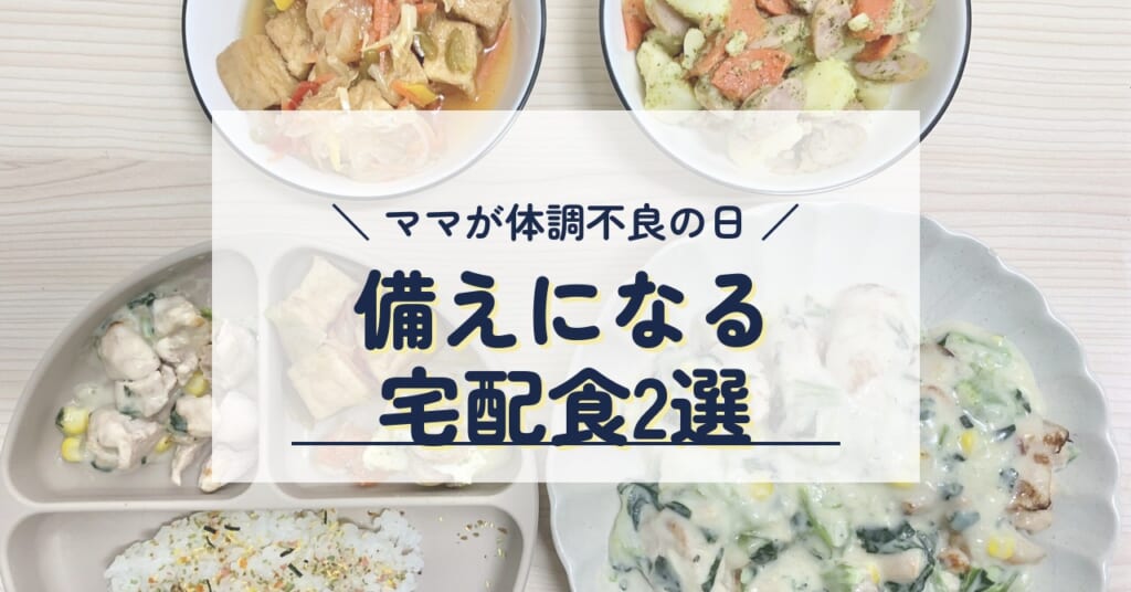 体調不良の日の備えになる宅配食2選